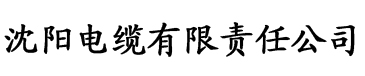 叛逆儿子暴躁老妈的解决方法电缆厂logo